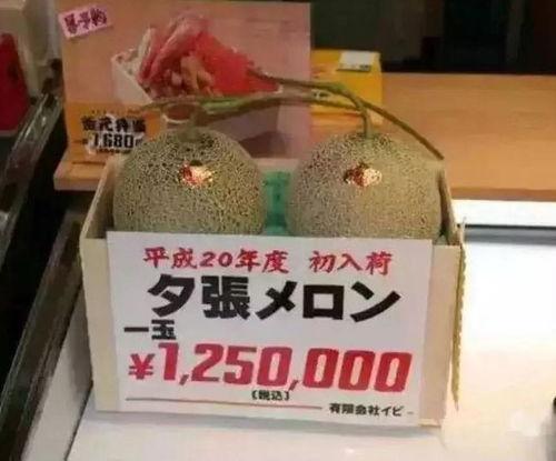 吃瓜群眾休閑娛樂(lè)館,一站式娛樂(lè)新體驗(yàn)