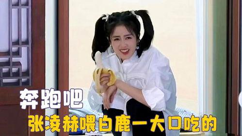 愛豆吃瓜娛樂白鹿,愛豆吃瓜娛樂背后的故事