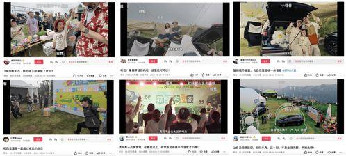 娛樂吃瓜視頻剪映下載,輕松下載娛樂視頻，暢享追劇樂趣