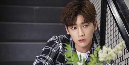 娛樂圈吃瓜爆料王琳凱,揭秘明星背后的故事