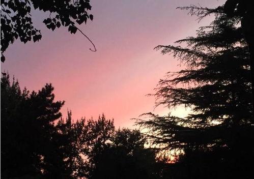 娛樂吃瓜醬晚霞,吃瓜醬帶你領(lǐng)略娛樂圈晚霞時刻