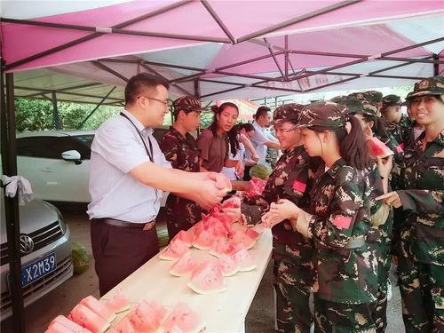 娛樂(lè)群吃瓜群眾,吃瓜群眾的熱議焦點(diǎn)