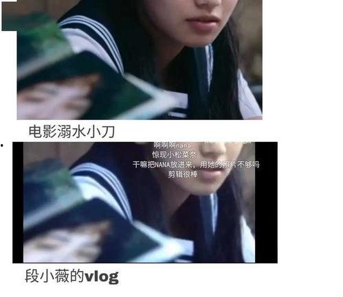 吃瓜小說娛樂圈完結(jié)文,瓜田里的甜蜜復(fù)仇