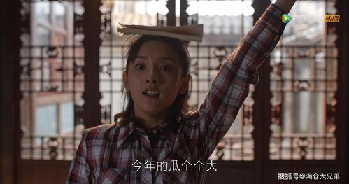 娛樂圈無腦吃瓜,無腦吃瓜，揭秘明星幕后故事