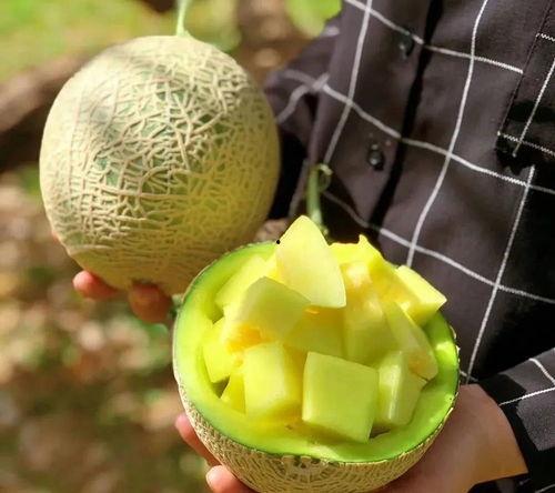 糯米娛樂(lè)圈吃瓜