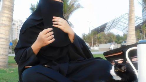 娛樂(lè)吃瓜君真相