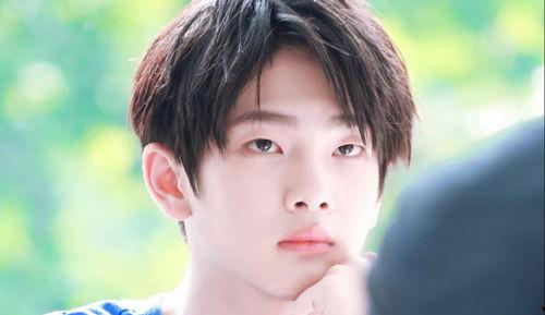 娛樂吃瓜小將王惠小說,娛樂圈的吃瓜小將，揭秘明星背后的故事