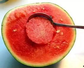 娛樂(lè)吃瓜醬美玉,揭秘美玉背后的故事與魅力