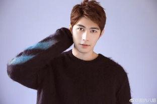 陳學冬娛樂圈吃瓜事件,真相與爭議并存