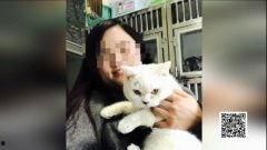 娛樂吃瓜醬小貓坐公交車,萌寵坐公交，趣味橫生一幕