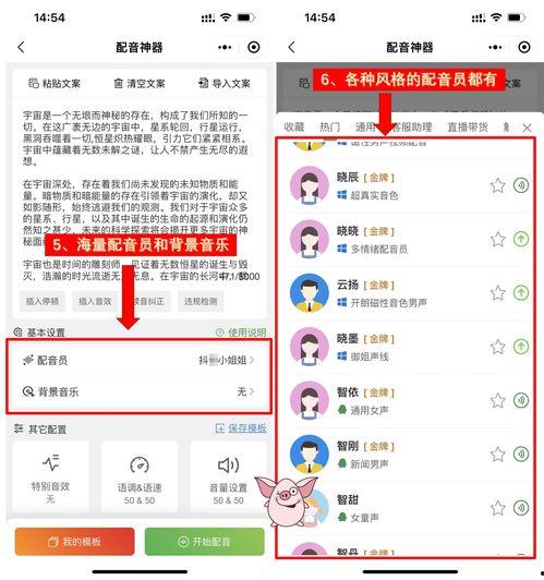 娛樂吃瓜音效軟件哪個好,哪個是你的最佳選擇？