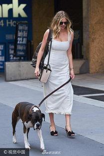 娛樂吃瓜醬遛狗小說下載,小說世界里的歡樂與溫情