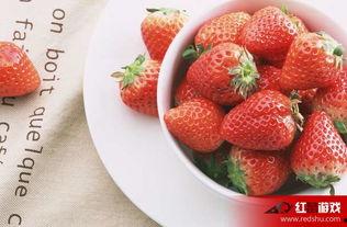 娛樂(lè)吃瓜醬草莓視頻下載,娛樂(lè)吃瓜醬帶你輕松獲取熱門娛樂(lè)內(nèi)容