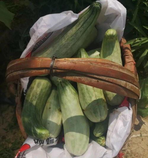 娛樂吃瓜帶貨,娛樂圈吃瓜達人帶你解鎖帶貨新姿勢