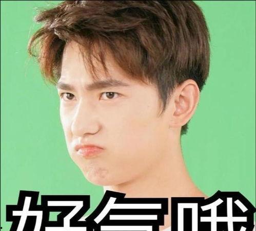 娛樂吃瓜張小寒,娛樂吃瓜界的風云人物