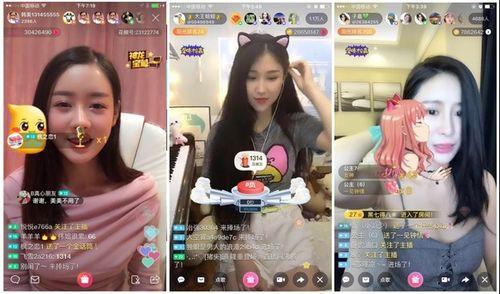 娛樂吃瓜醬畢業(yè)工作,畢業(yè)季的職場(chǎng)初體驗(yàn)