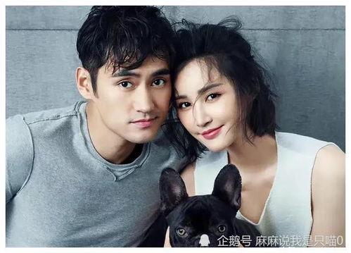 娛樂圈吃瓜的主播都有誰,揭秘?zé)衢T主播背后的故事